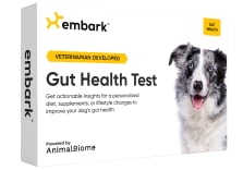 dog gut health test