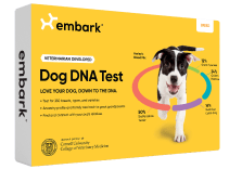 breed id dog dna test without health testing