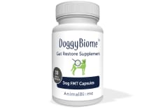 dog gut restore supplement