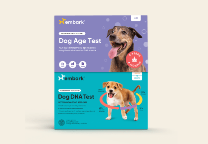 Embark Breed + Health Kit Review: Ahead of the Pack