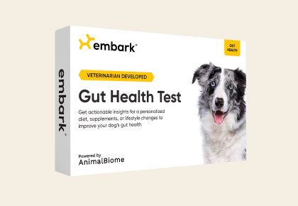Gut Health Test