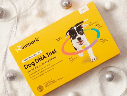 Shop the Breed ID test