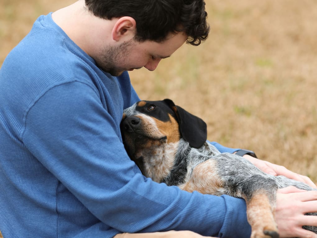 Cuddly dog clearance