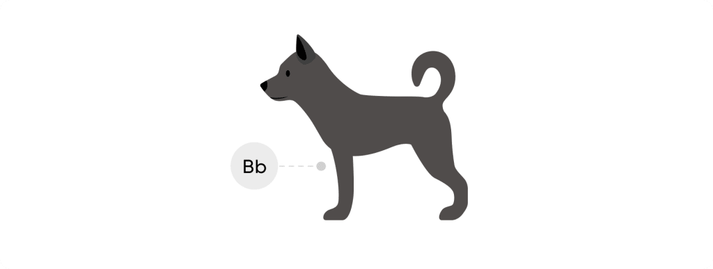 Black dog with uppercase B lowercase b genotype