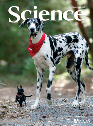 embark science