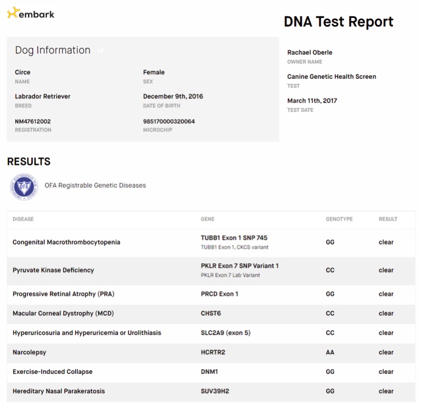 Embark Examples Health Condition Testing - Embarkvet