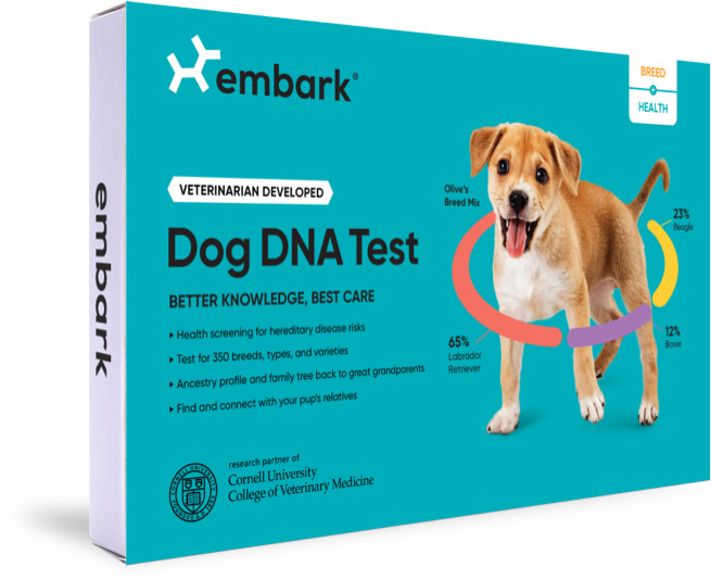 embark dog dna kit test box