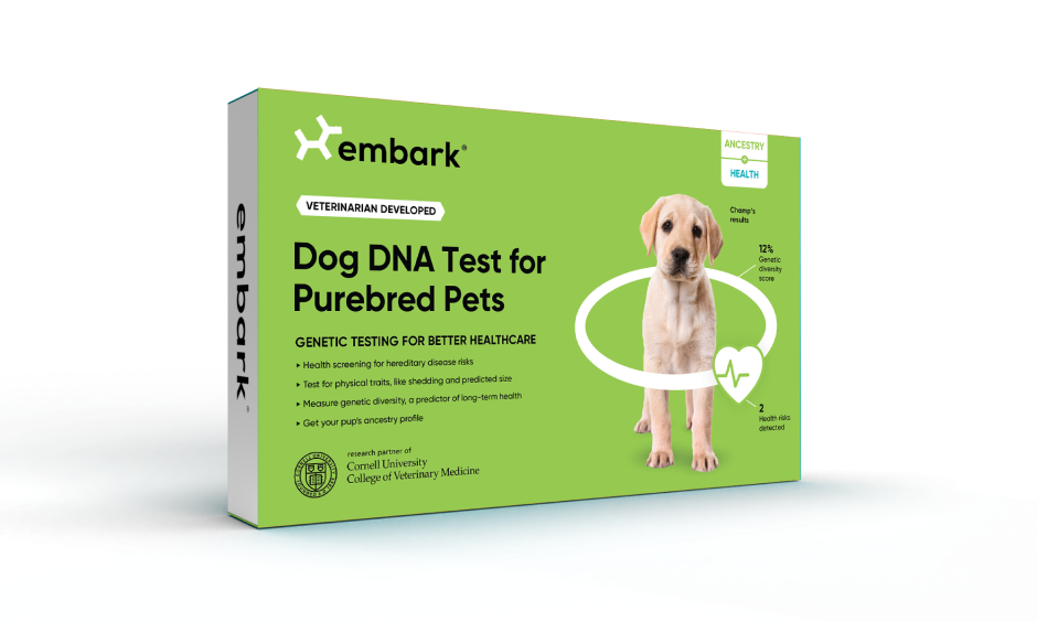 köpek dna testi