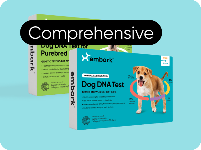 Embark Veterinary Launches First-Ever DNA Test for Purebred Dog Owners