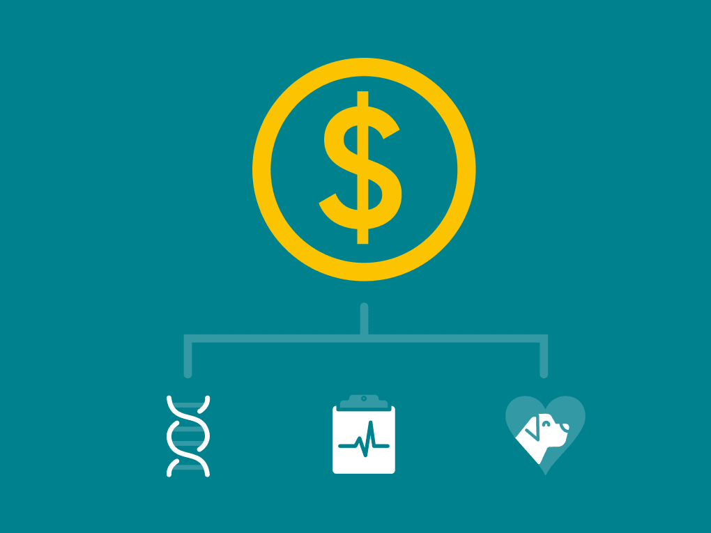 Go to "How Much Does a Dog DNA Test Cost?" article