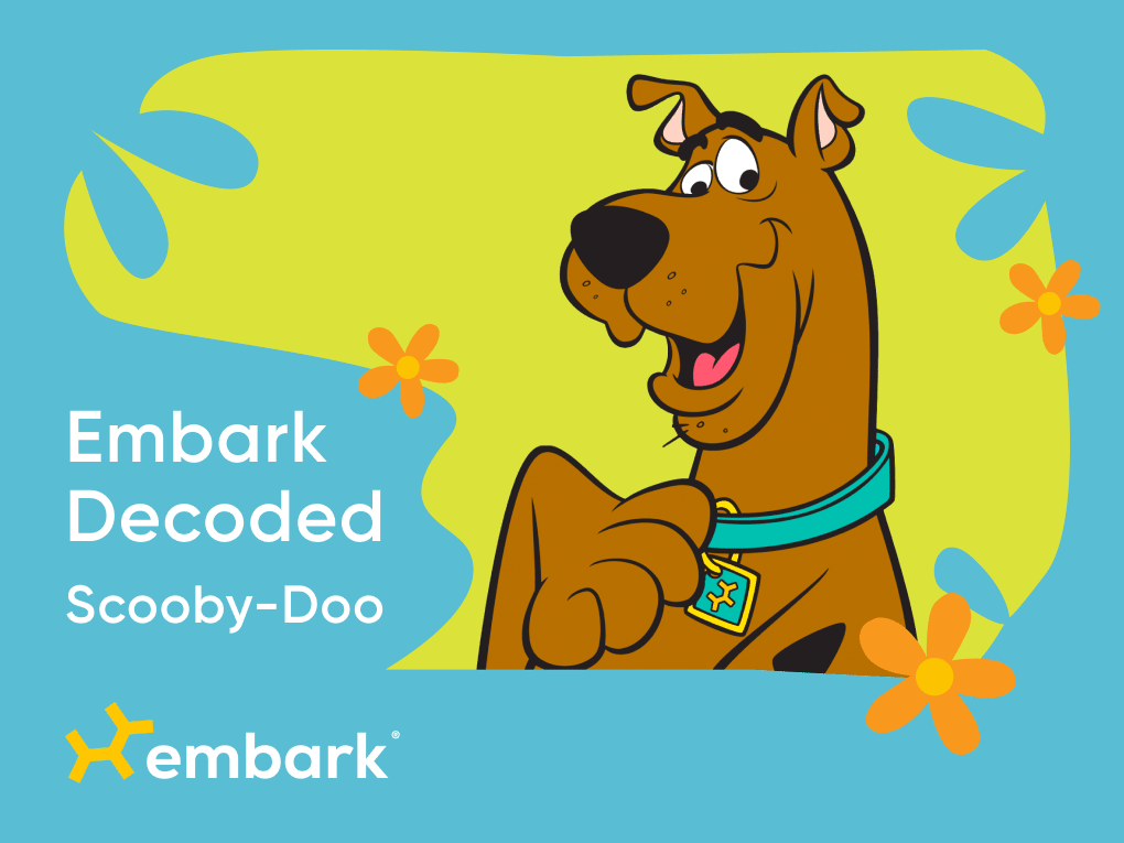 Go to "Scooby-Doo Decoded" article