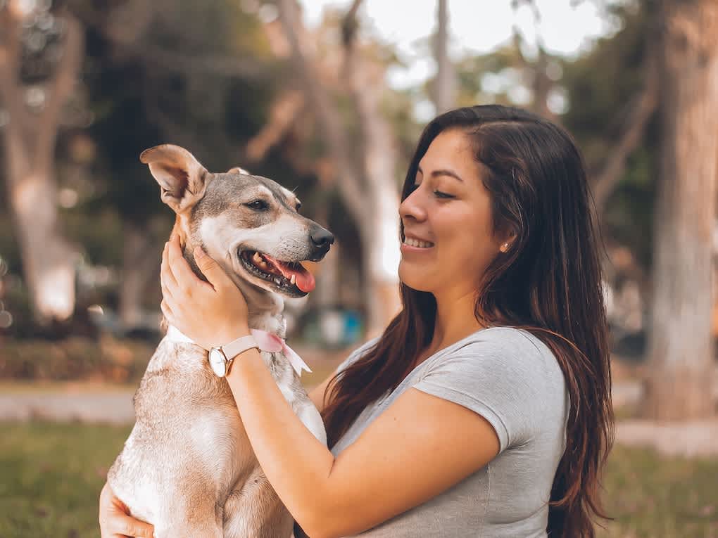 Go to "How to Care for Your Dog at Every Life Stage" article