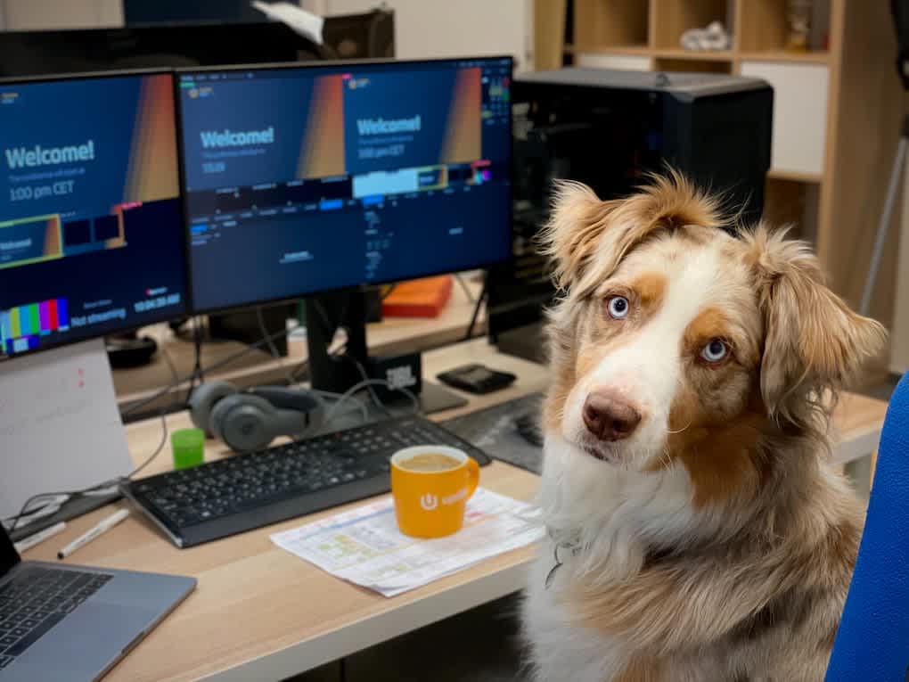 Go to "7 Benefits of Take Your Dog to Work Day" article