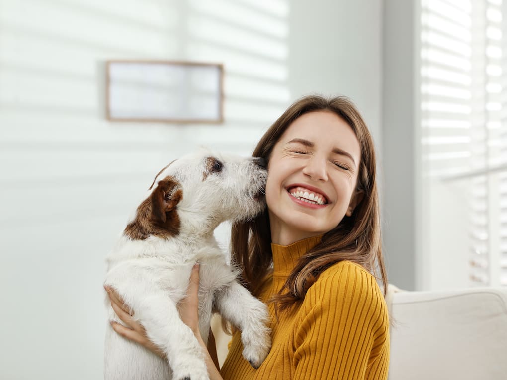 Go to "Embark Partners with AnimalBiome to Study the Dog Microbiome" article