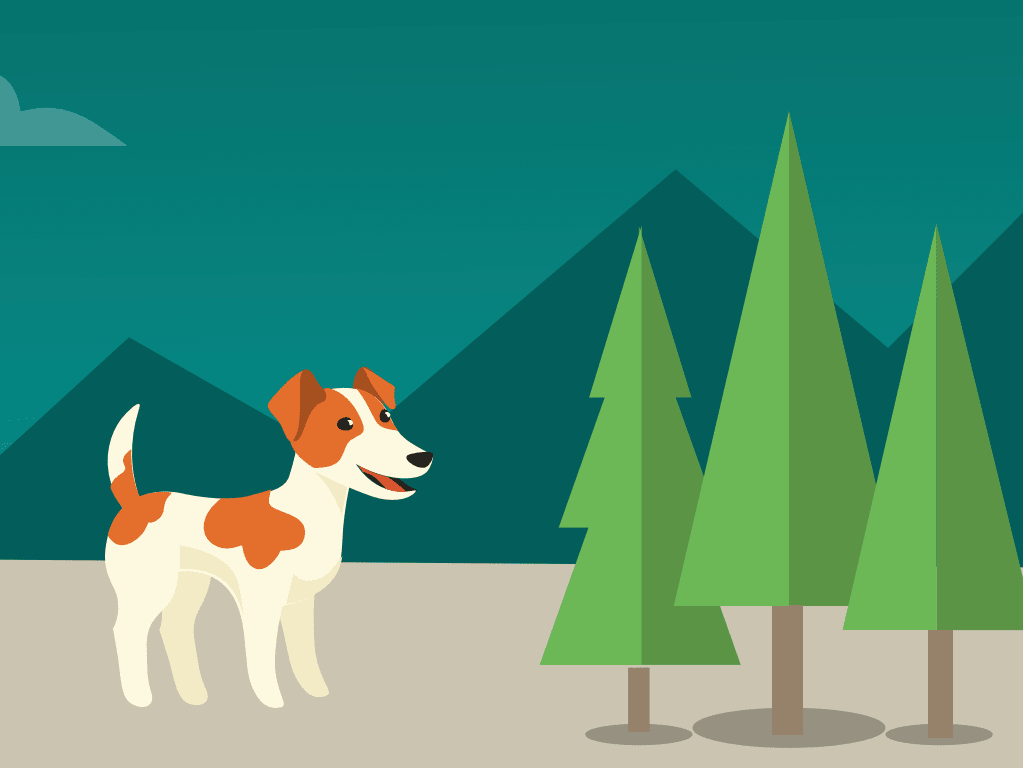 Go to "Tips for Hiking With Your Dog" article