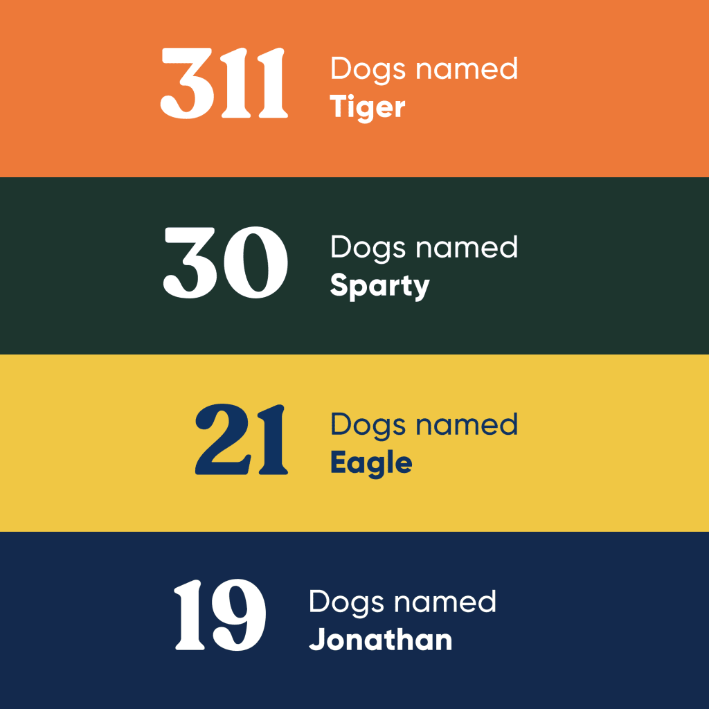 A graphic showing 311 dogs named Tiger, 30 dogs named Sparty, 21 dogs named Eagle, 19 dogs named Jonathan