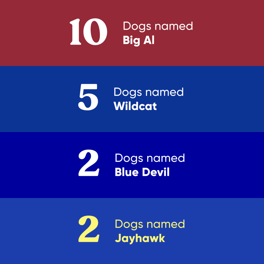 A graphic showing 10 dogs named Big Al, 5 dogs named Wildcat, 2 dogs named Blue Devil, 2 dogs named Jayhawk