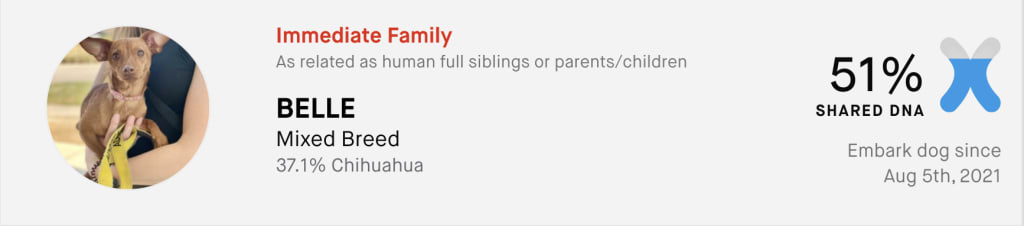 Taco Relative Finder Match