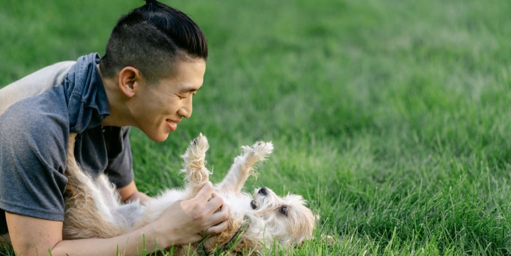 An employee playing with a dog on the grass