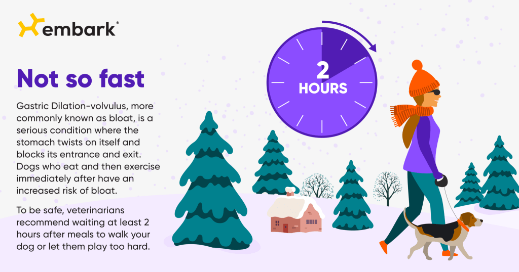 holiday routine eating exercise tip