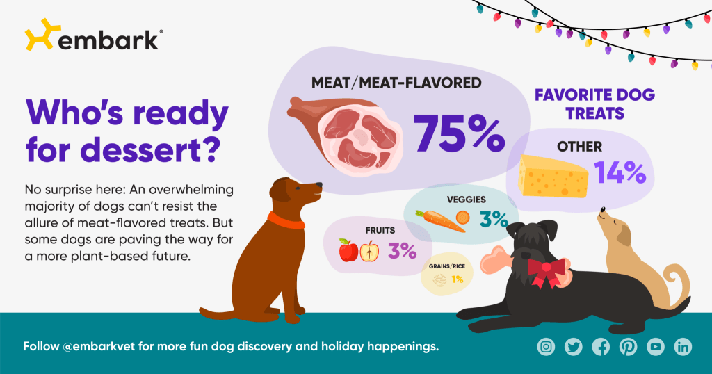 holiday routine dog dessert choices