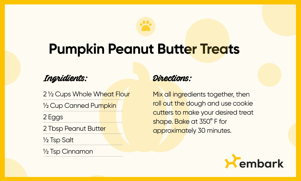 A recipe for pumpkin peanut butter dog treats. Ingredients: 2.5 cups whole wheat flour, 1/2 cup canned pumpkin, 2 eggs, 2 tbsp peanut butter, 1/2 tsp salt, 1/2 tsp cinnamon. Mix all ingredients together, then roll out the dough and use cookie cutters to make your desired treat shape. Bake at 350 degrees Fahrenheit for 30 minutes.