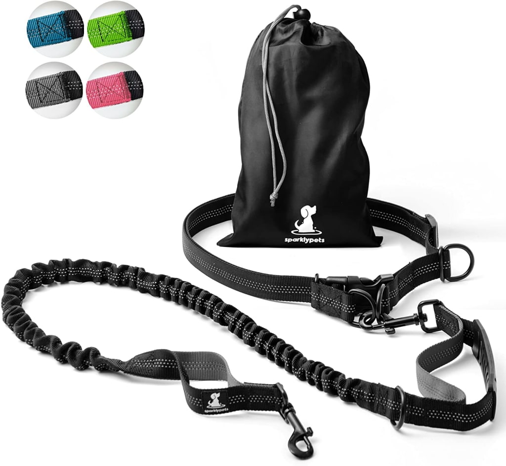 hands free dog leash