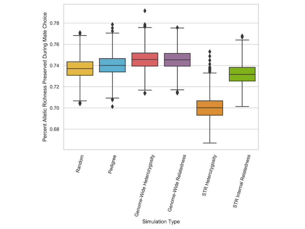 Go to "Breeding for the future: Why genome-wide diversity matters" article