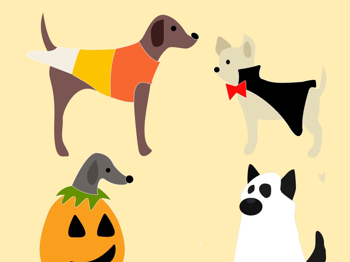 Go to "Embark’s Halloween Giveaway" article