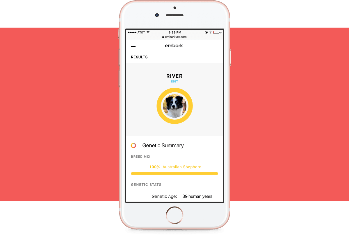 Embark results screen