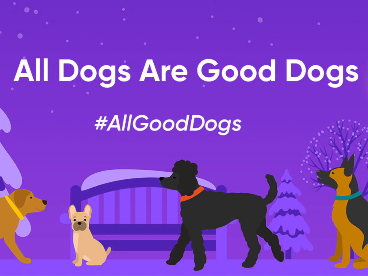 Go to "What’s Your Dog’s Holiday Routine?" article