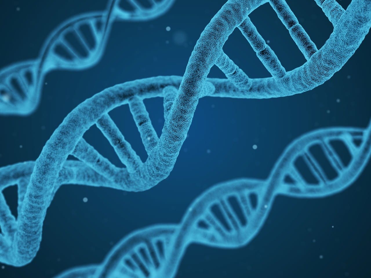 Go to "Celebrating DNA Day" article