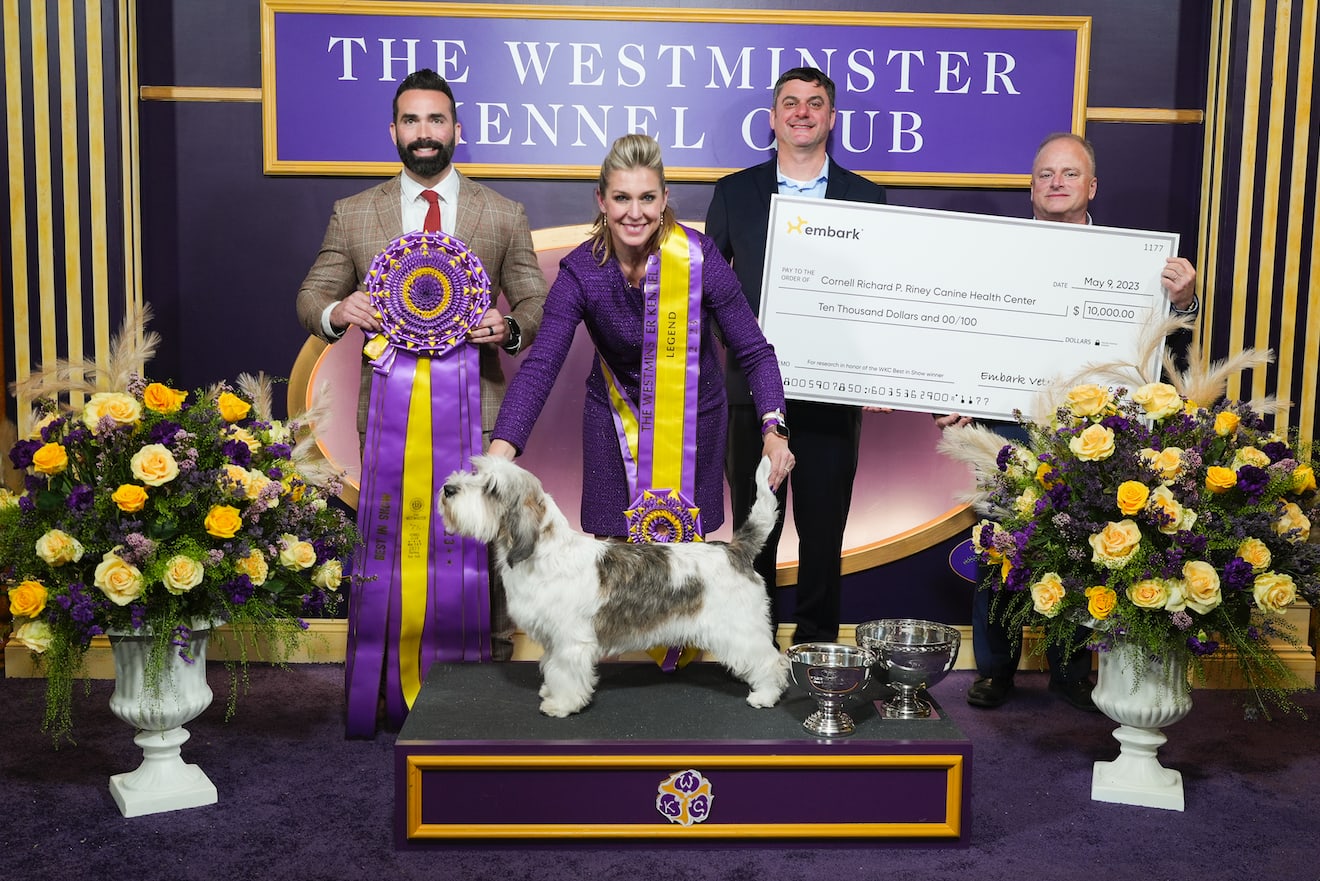 Go to "Westminster and Embark: Honoring the Past, Embracing the Future" article