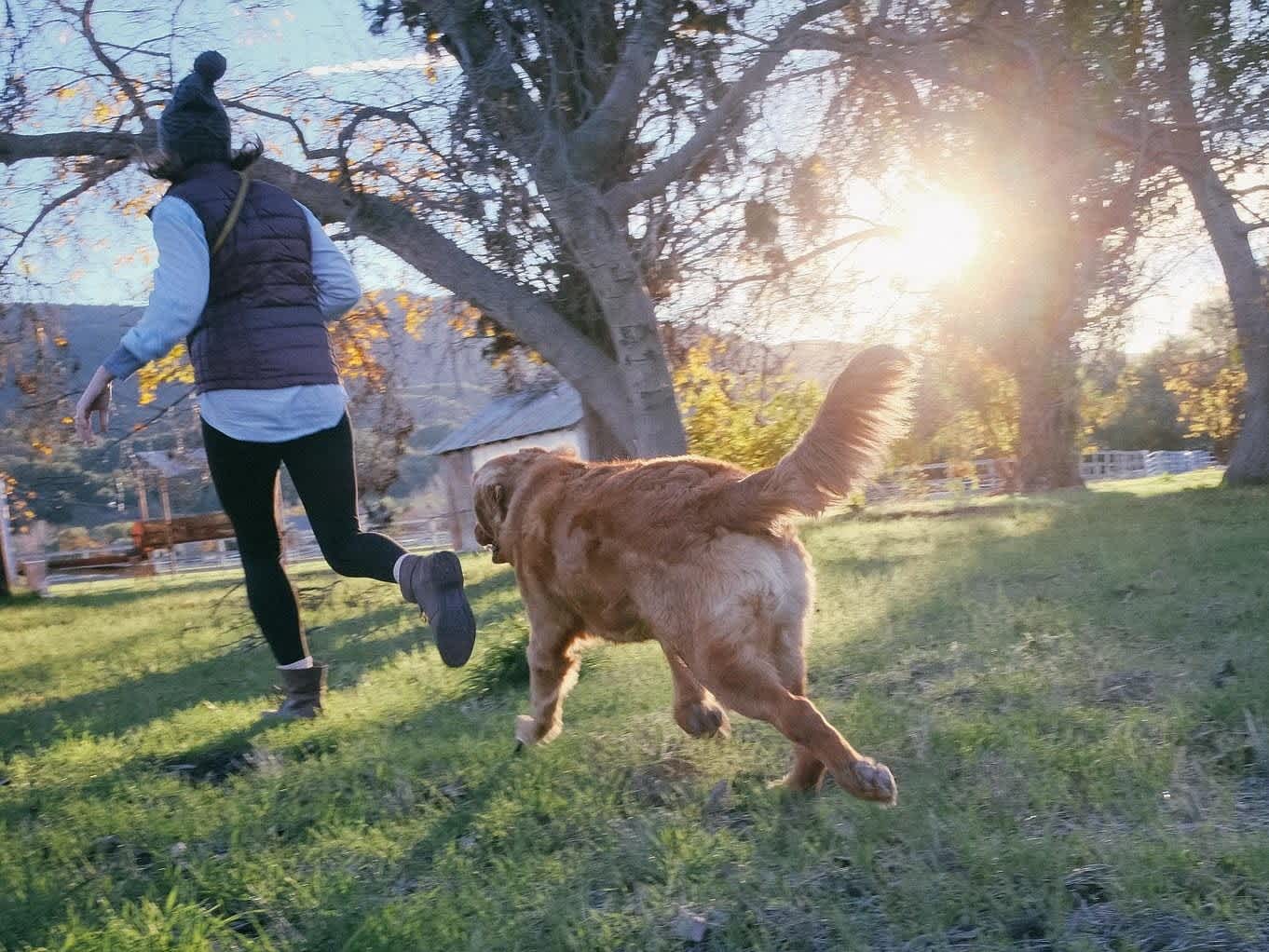 Go to "Workouts You Can Do With Your Dog" article