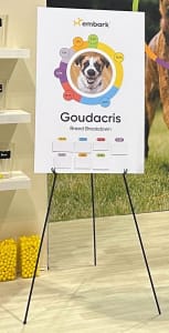 A poster board showing the breed mix of a dog named Goudacris, with the breeds covered up to invite people to guess the breeds that make up this dog.