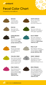 This chart shows various colors that your dog's stool might be, and what those colors mean.