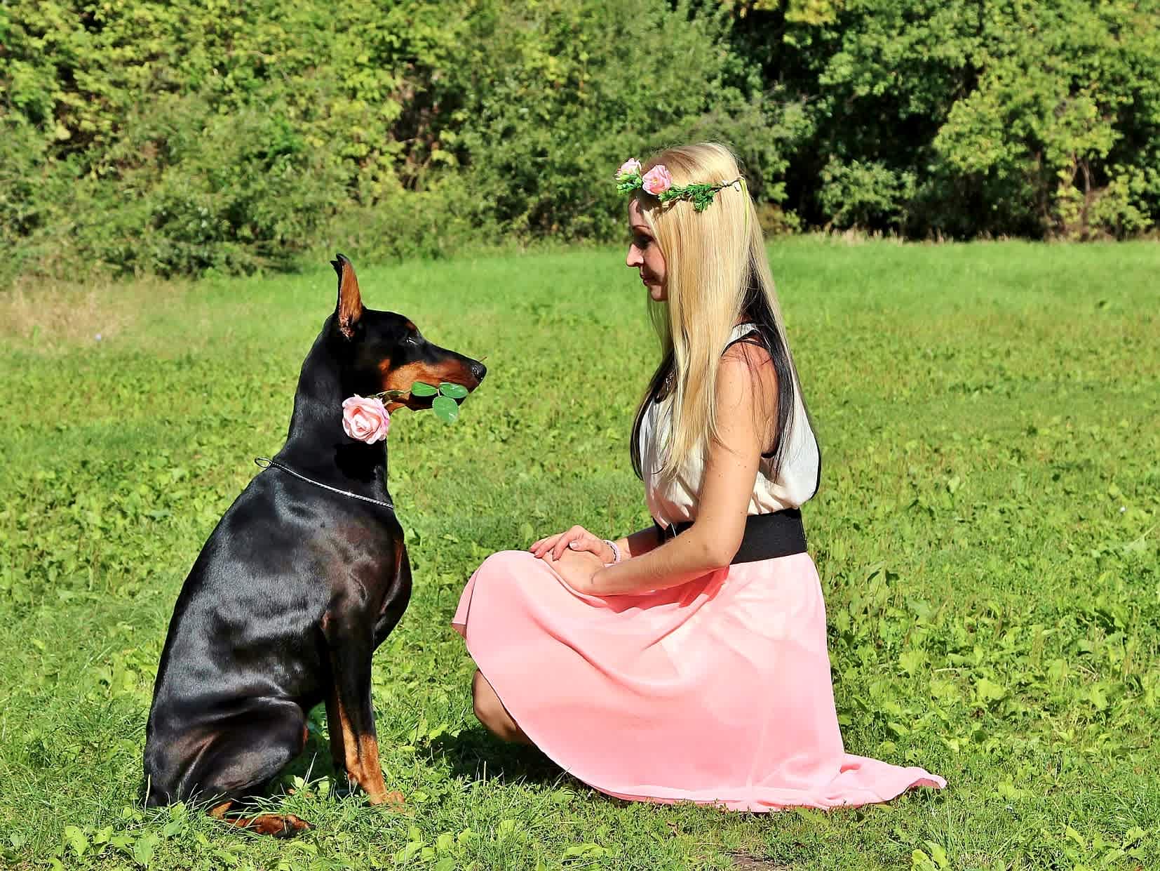 Go to "Which Dog Breed Best Matches Your Personality?" article