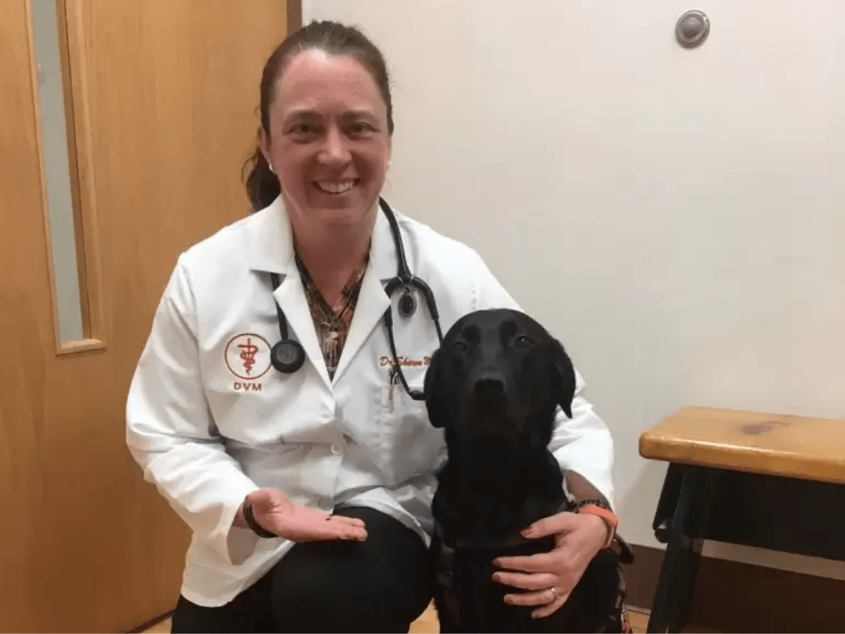 Go to "Telford Vet Hospital pilot study " article