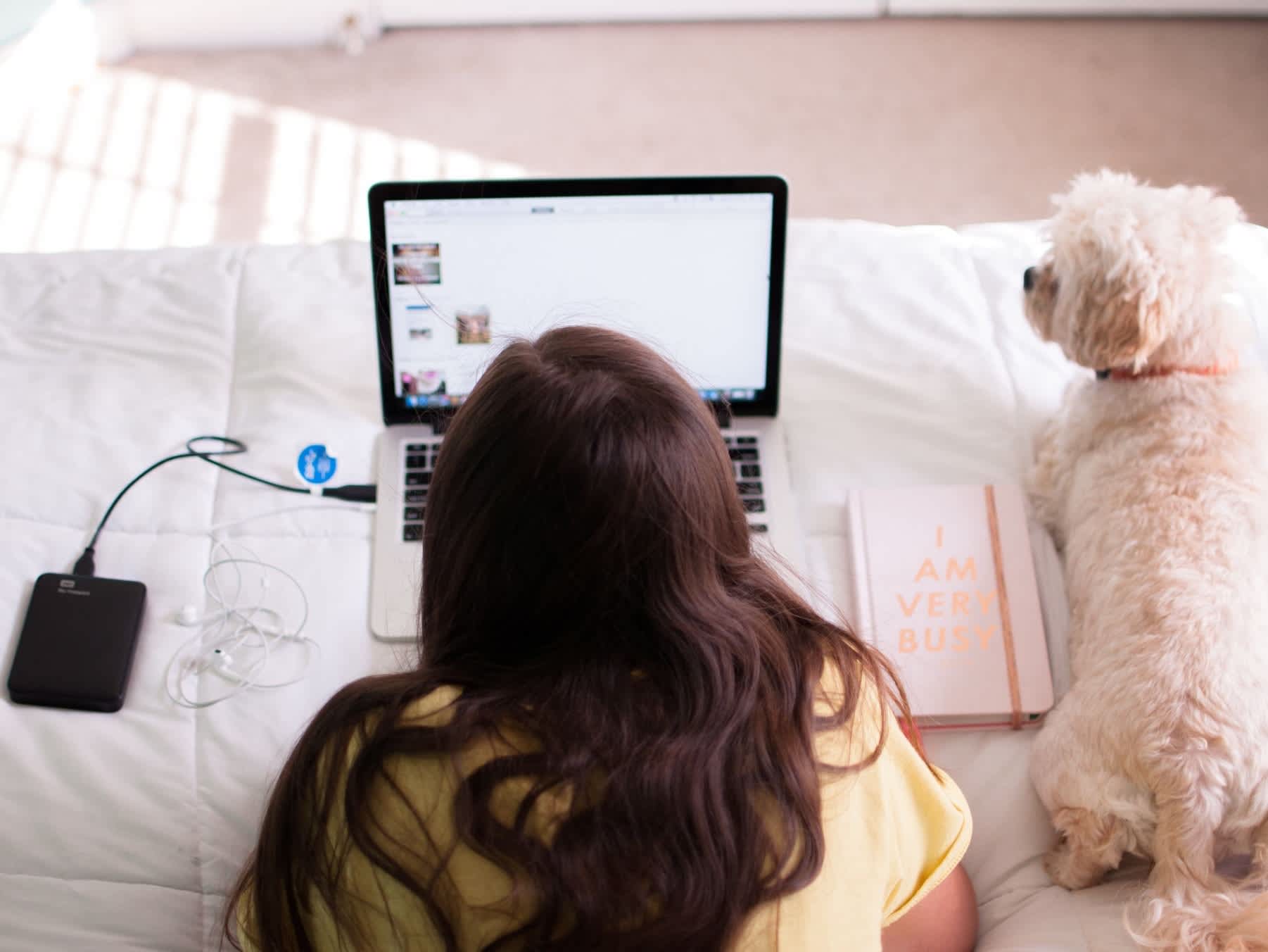 Go to "How to Work from Home with Dogs" article