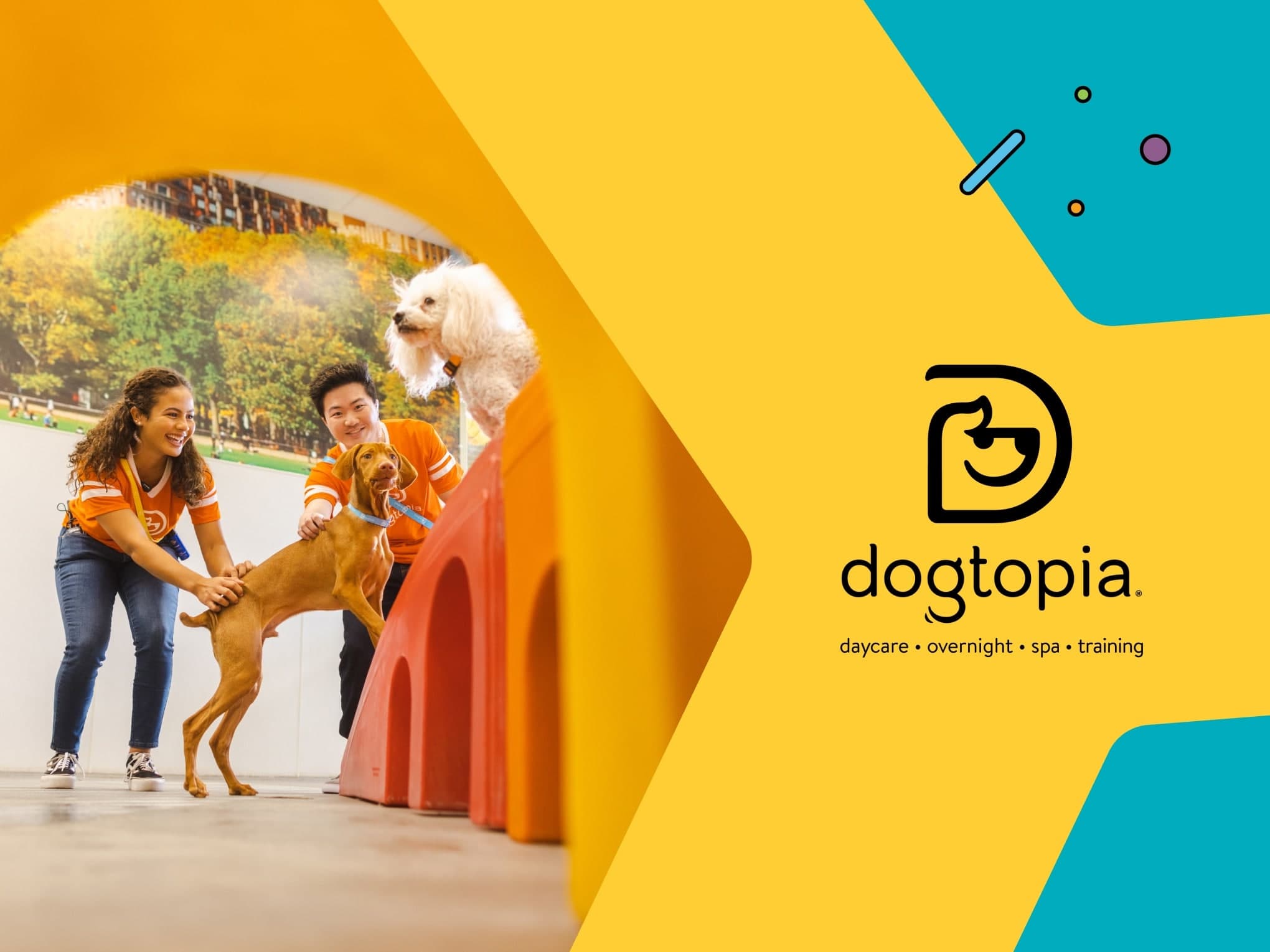 Go to "How to Choose a Dog Daycare That Keeps Your Pup Thriving" article