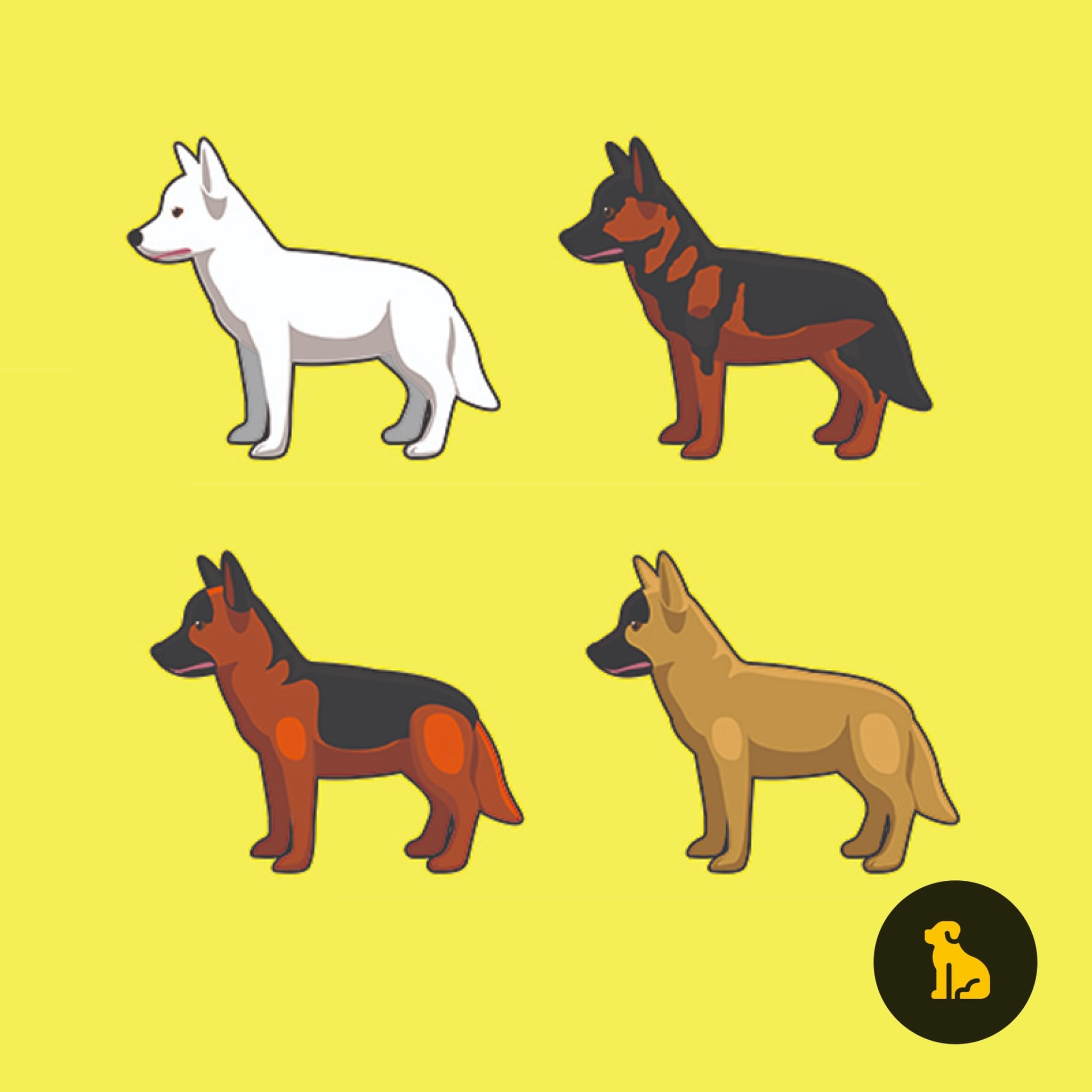 Dog Coat Color Genetics
