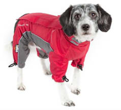 embark dog coat