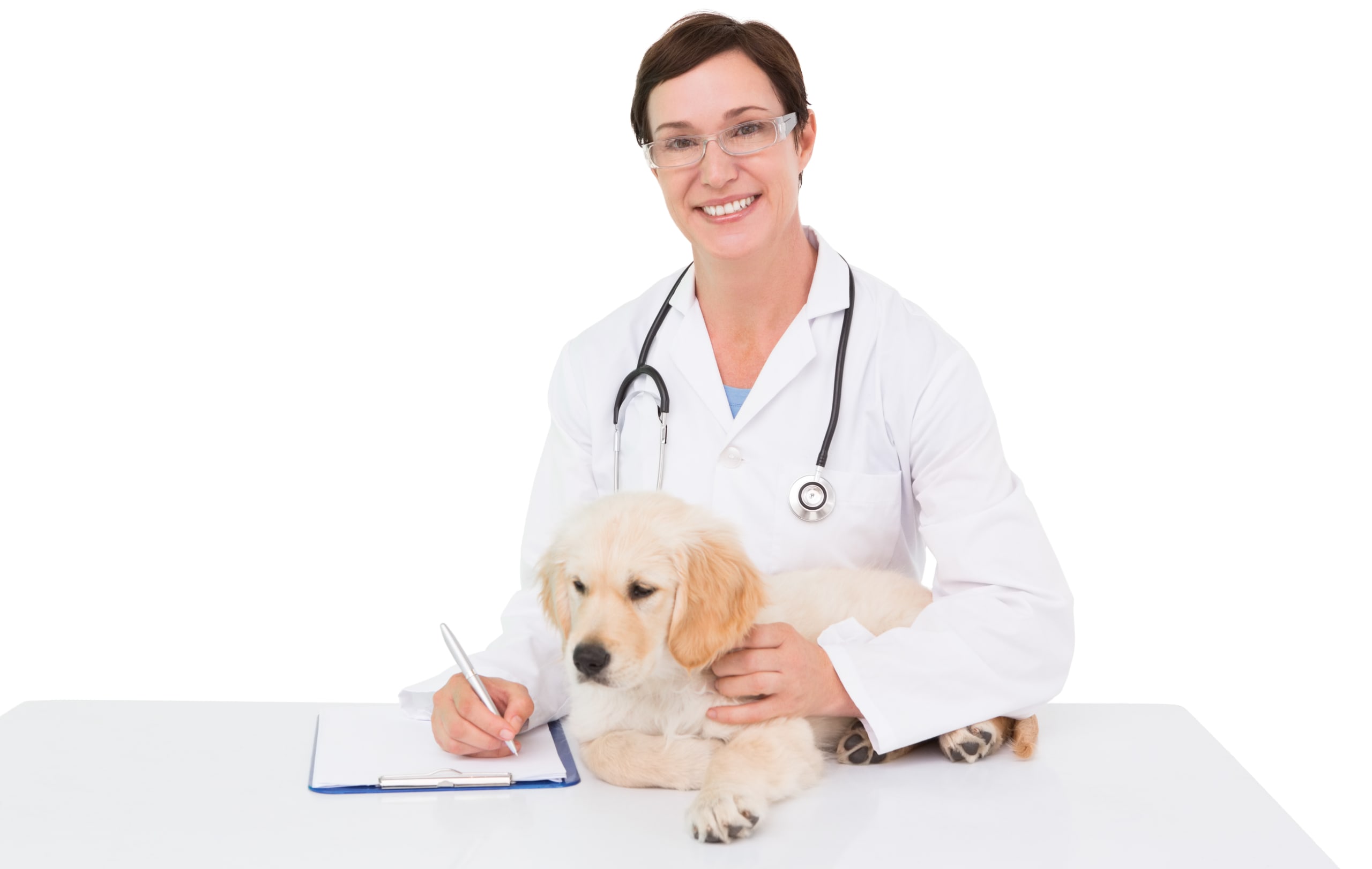 Go to "Embark Veterinary Welcomes New Members to Veterinary Advisory Board" article