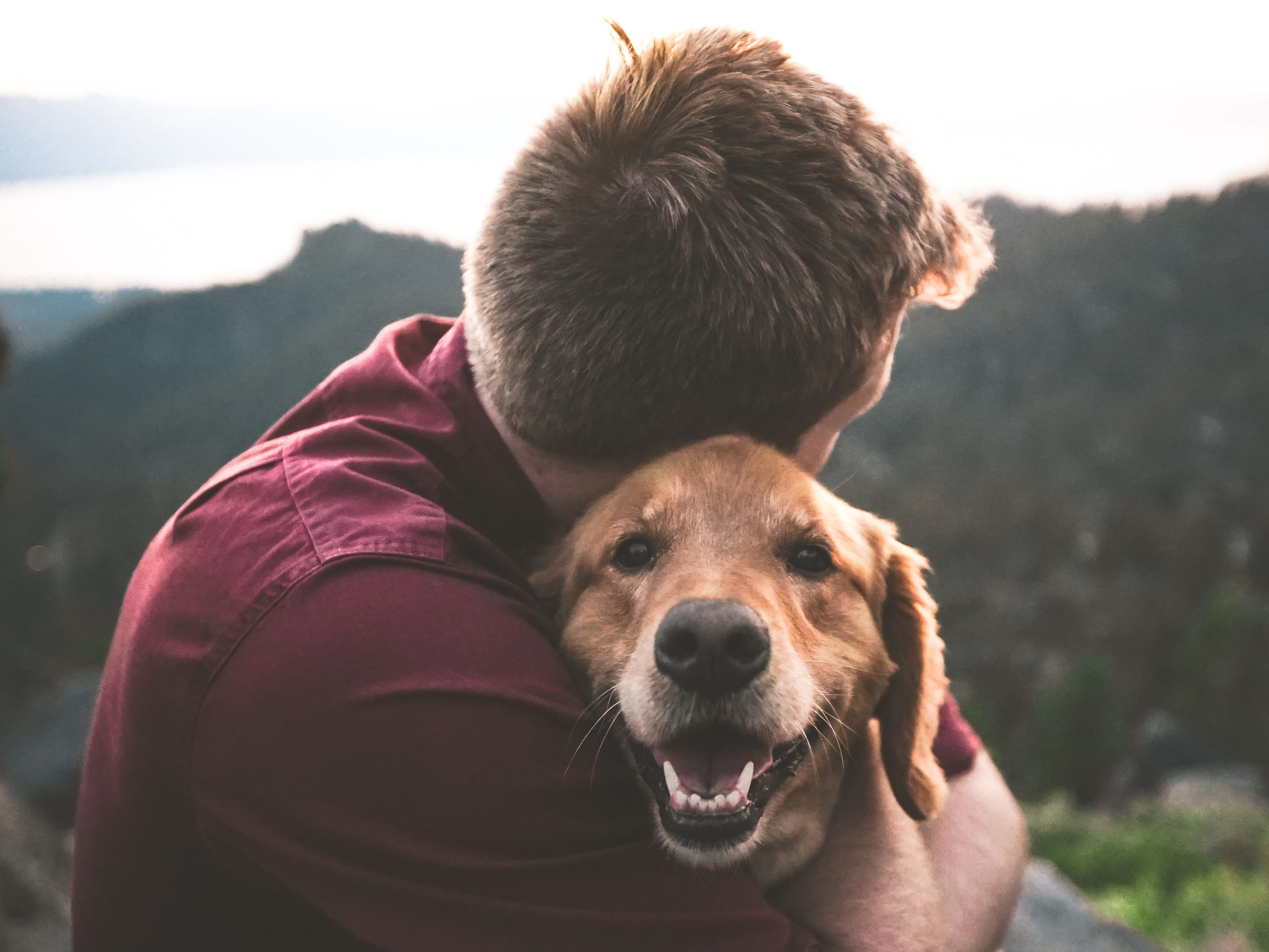About dogs love outlet