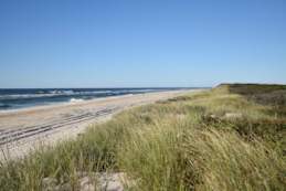 embark barrett beach