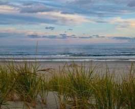 embark stone harbor dog beach