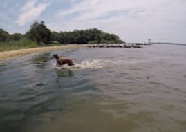 embark quiet waters