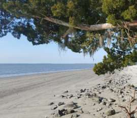 embark jekyll island beaches