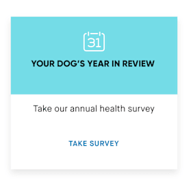 Annual Health Survey