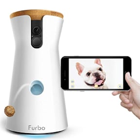 Furbo camera